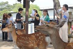 奈良のシカ、過去最多１４６５頭