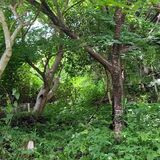 【続報】那須塩原・上塩原と中塩原で、クマに襲われ２人けが　「痛みを感じて後ろ見たら...」　被害男性が状況を語った