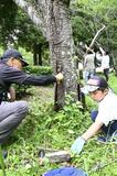 クビアカ被害防止へ協力