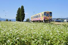 運転士候補は 地域おこし隊