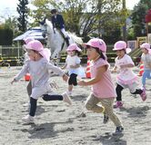 白馬に負けじと園児全速力　さくらの保育園でホースセラピー