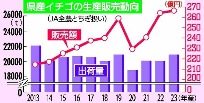 県産イチゴの生産販売動向