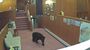 宿泊施設内の通路を歩くクマ。防犯カメラ映像に映っていた＝８月20日夜、日光市中宮祠（経営者の男性提供）
