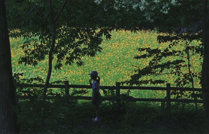 「黄花と少女」 大塚 昇(宇都宮)