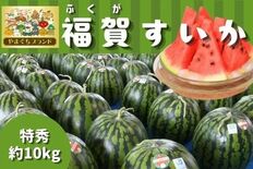 1株1果どりで旨み凝縮!やまぐちブランド登録の「福賀すいか」をJAタウ…