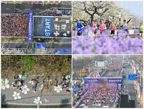 2026 年JD.com宿遷マラソンが成功裏に終了、1万2000人のラ…