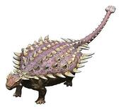 よろい竜の歯の化石発見