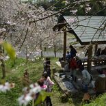 ４年ぶり全10戸で花見　茂木・山中集落