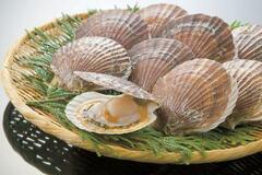水産物の輸出額、過去最高