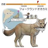 しっぽ太くキツネのよう