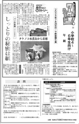 しっとりの秘密は紙