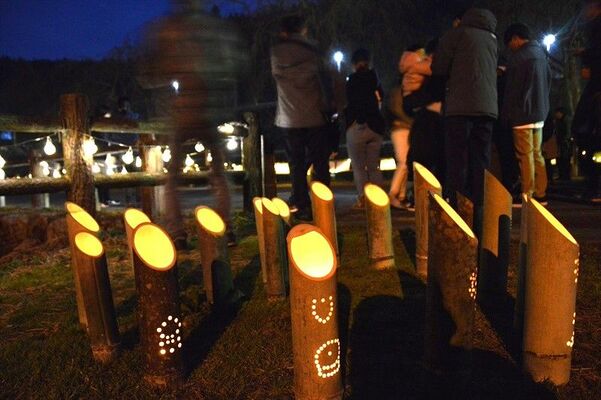 桜の並木道をほんのり照らす竹灯籠とＬＥＤ