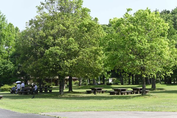豊かな自然に囲まれ、老若男女が訪れるとちぎわんぱく公園＝壬生町国谷