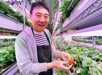 地熱の恵み、家計の救いに