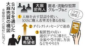 【大麻摘発最多】危うい好奇心、進む若年化