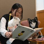 「わんちゃんを触りながら、本を読めて楽しかった」　小学生ら約10人がセ…