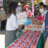 福島直送の桃を21日に販売　道の駅もてぎで恒例イベント　震災復興支援契…