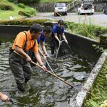 地域で愛されてきたコイ130匹が引っ越し　日光の旧足尾中から那須へ　新…