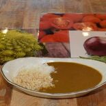 CoCo壱協力でイタリア野菜のカレー販売へ　矢板で試食会、新たな特産品に