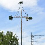ご先祖さまの道しるべ　タカンドウロウが庭先に　大田原