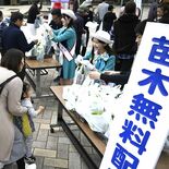 ラズベリーの苗配布に行列　緑化推進、森林保全への募金協力で　道の駅もてぎ