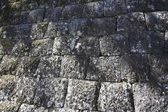 細部にも光る高い技術