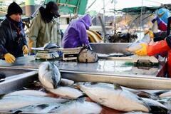 【誤算の関税(下)】目まぐるしく悪戦苦闘