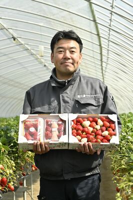 ストロベリーワールドｉｎ真岡市民企画委員長の伊澤学さん