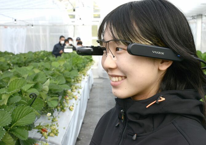 福岡県の「匠の技 伝承事業」の一環で、スマートグラスを使って遠隔指導を試す県農業大学校の学生=12月8日、福岡県筑紫野市