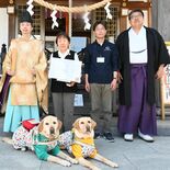 盲導犬育成へ、寄付付きの御朱印作製　宇都宮・今泉八坂神社　触って楽しめ…