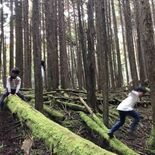 本当の自由得る学び場　伸び伸び子育て大切に　にじのもり自然学校×森のよ…