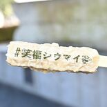 棒シウマイ新たな名物へ　鹿沼の専門店「笑福シウマイ」など開発　駅前の像…
