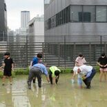都心の子に田植え指導　宇都宮・清原地区の団体
