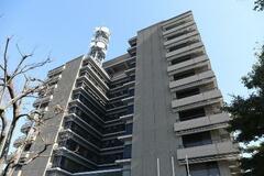 保護猫１３匹死なせた疑い女逮捕