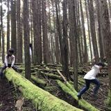 本当の自由得る学び場　伸び伸び子育て大切に　にじのもり自然学校×森のようちえん「ぬくぬく」クロストーク