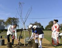 合併７０年記念し 桜１４本を植樹
