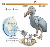 のろまな鳥に多数の敵