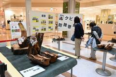 生態や被害 実態理解を