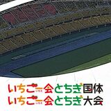 「いちご一会とちぎ国体」栃木県選手団