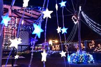 わたらせ渓谷鉄道イルミネーション