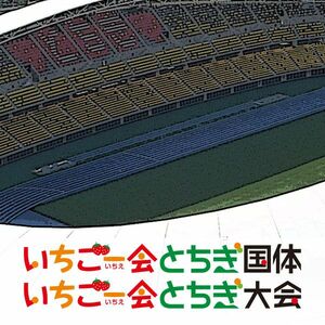 全国障害者スポーツ大会「いちご一会とちぎ大会」栃木県選手団