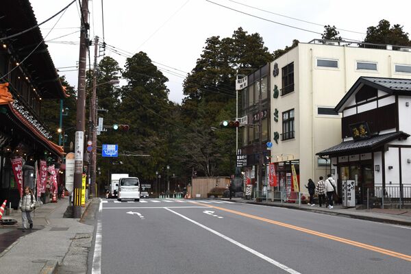 日光橋付近の国道１１９号。歩道は狭く電柱が立っている＝日光市上鉢石町