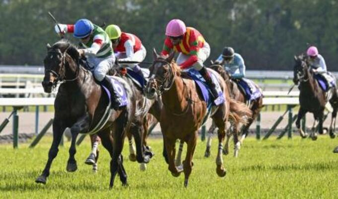 　競馬