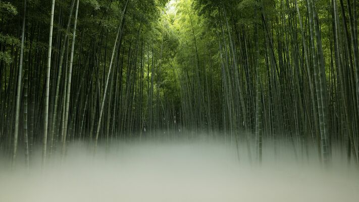 若山農場に新設される「雲海エリア」（ワカヤマファーム提供）