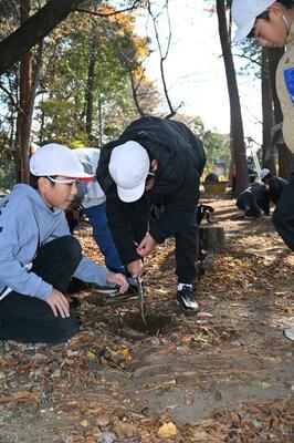 石の除去を行う児童