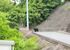 路上に立つクマ=6日午後6時半ごろ、宇都宮市富士見が丘町1丁目(読者提供)