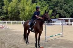 若手騎手の人生を変えた落馬事故。脳のダメージで記憶を失い、味覚もなし。…