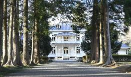 映える写真木の緑と白壁