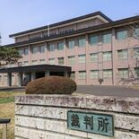 「金欲しさから車上荒らし、自己中心的」　小山の強盗致傷被告に懲役４年　…