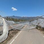農業被害約1億2410円 那須塩原など6市町 1、2日の突風で